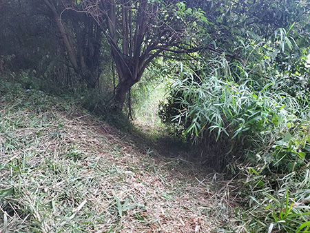 船越農園