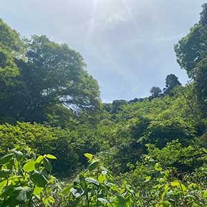 堀内農園