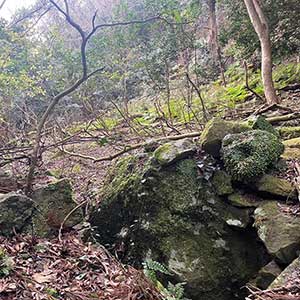上賀茂農園