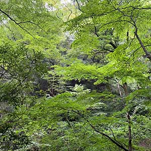 大平台農園
