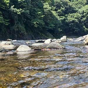 尾名倉農園