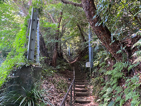 田浦農園