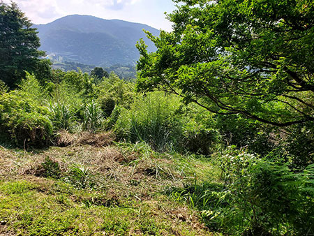 山北農園