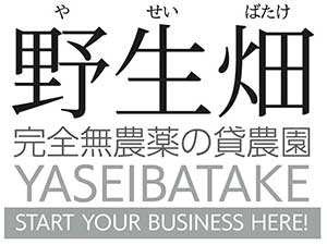 無農薬自然農法のレンタルファーム『野生畑』