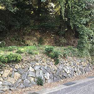 吉浜農園